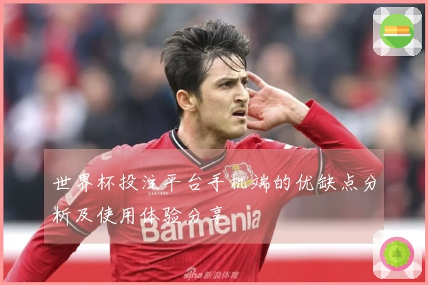 世界杯投注平台手机端的优缺点分析及使用体验分享