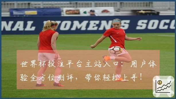 世界杯投注平台主站入口：用户体验全方位测评，带你轻松上手！