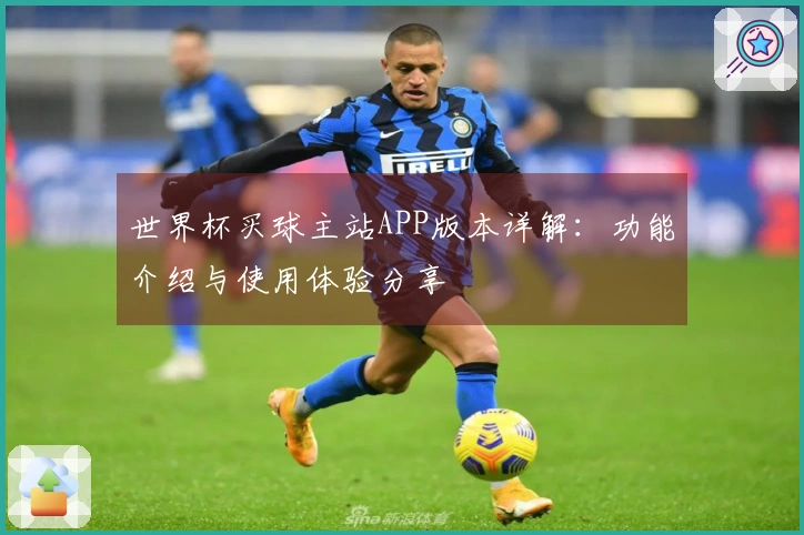 世界杯买球主站APP版本详解：功能介绍与使用体验分享