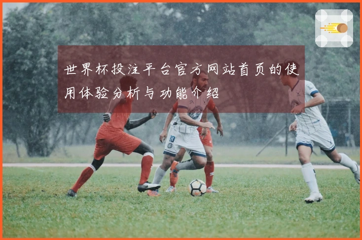 世界杯投注平台官方网站首页的使用体验分析与功能介绍
