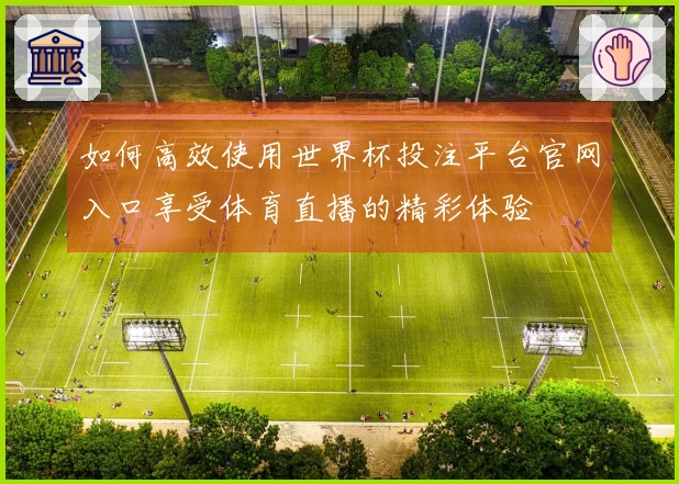如何高效使用世界杯投注平台官网入口享受体育直播的精彩体验