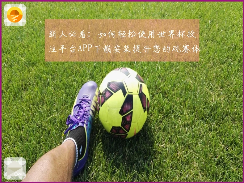 新人必看：如何轻松使用世界杯投注平台APP下载安装提升您的观赛体验