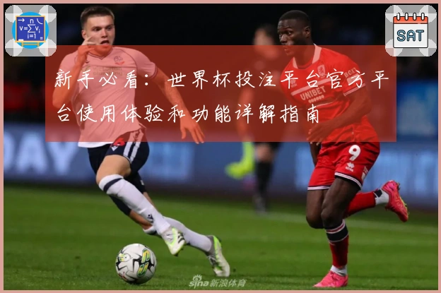 新手必看：世界杯投注平台官方平台使用体验和功能详解指南