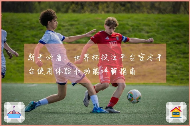 新手必看：世界杯投注平台官方平台使用体验和功能详解指南