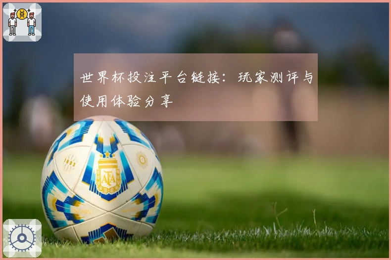 世界杯投注平台链接：玩家测评与使用体验分享