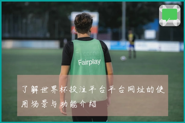 了解世界杯投注平台平台网址的使用场景与功能介绍
