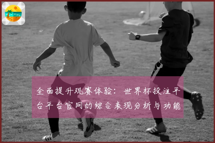 全面提升观赛体验：世界杯投注平台平台官网的综合表现分析与功能介绍