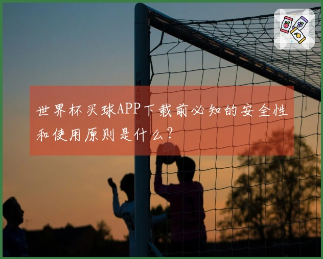 世界杯买球APP下载前必知的安全性和使用原则是什么？