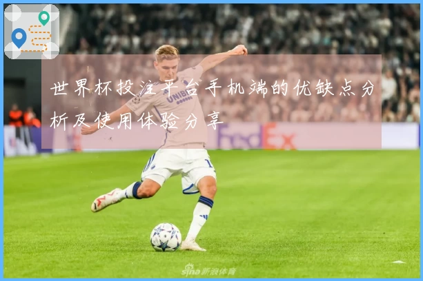 世界杯投注平台手机端的优缺点分析及使用体验分享