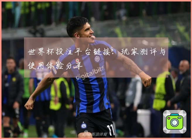 世界杯投注平台链接：玩家测评与使用体验分享