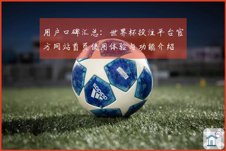 用户口碑汇总：世界杯投注平台官方网站首页使用体验与功能介绍