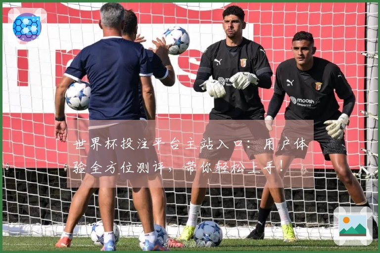 世界杯投注平台主站入口：用户体验全方位测评，带你轻松上手！