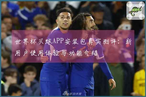 世界杯买球APP安装包真实测评：新用户使用体验与功能介绍