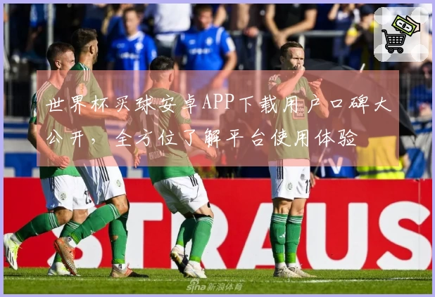世界杯买球安卓APP下载用户口碑大公开，全方位了解平台使用体验