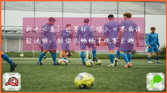 新手必看！世界杯买球入口界面体验说明，助你流畅畅享观赛乐趣
