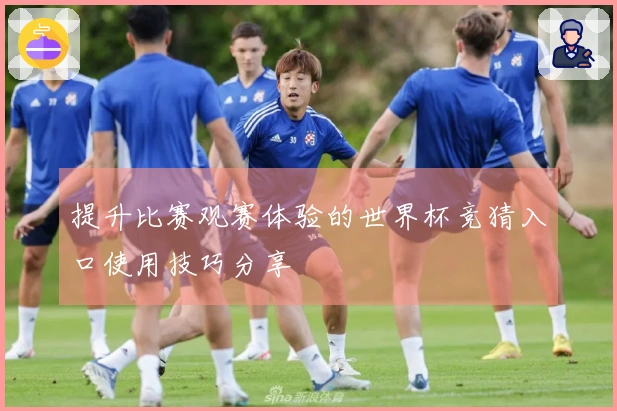 提升比赛观赛体验的世界杯竞猜入口使用技巧分享