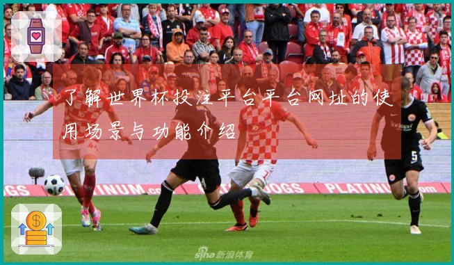 了解世界杯投注平台平台网址的使用场景与功能介绍