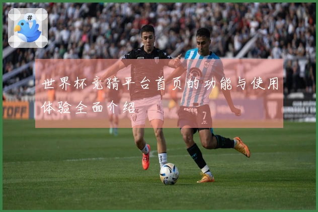 世界杯竞猜平台首页的功能与使用体验全面介绍